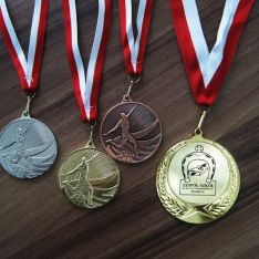 Medale dla Zespołu Szkół w Kobylu